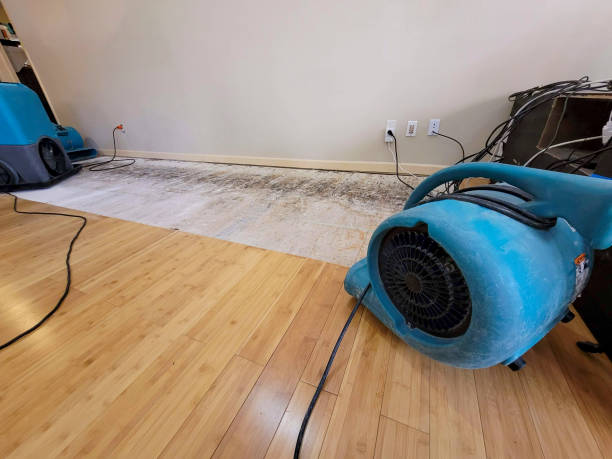 Professional Basement Flood Cleanup technician working in Hazlet, NJ